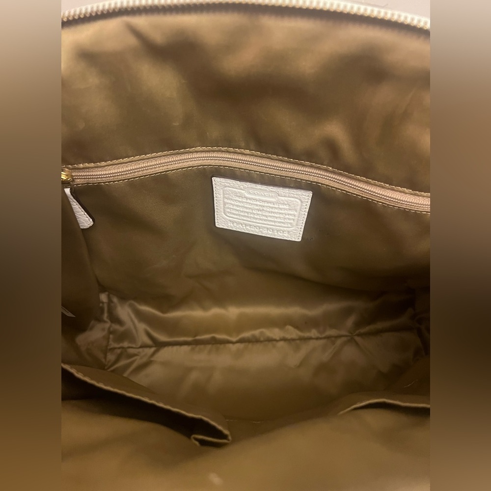 Rare Find- NWT Coach Madison Domed Satchel in Exotic Stripe Leather - Picture 10 of 13